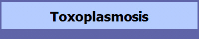 Toxoplasmosis